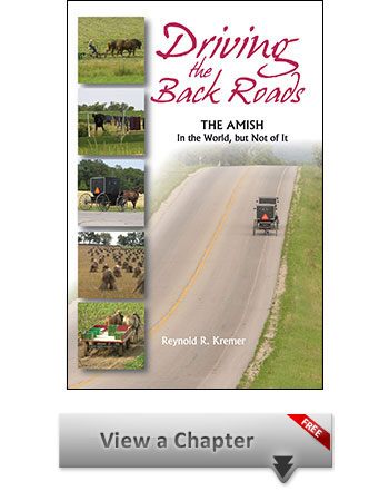 Amish Book Sample Chapter