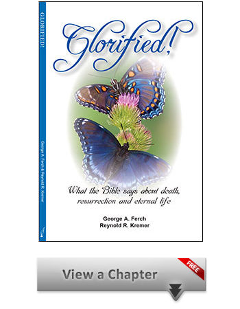 Glorified! Sample Chapter